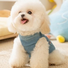 Puppy Dream小狗彩色鈕扣內刷毛牛仔胸背帶可拆卸背心 00216, 1個, 淺藍色