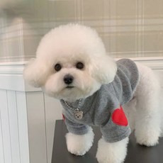 퍼피드림 강아지 하트패치 따뜻한 폴라리스 티셔츠, 그레이, 1개