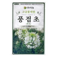 다농 풍접초 씨앗 백색 0.5g, 1개