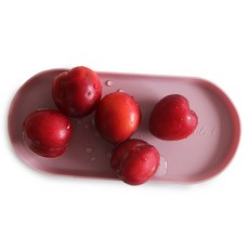 에이드엘 일립스 실리콘 트레이, 인디핑크, 1개