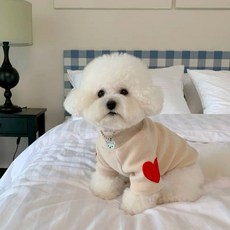 Puppy Dream 狗狗愛心補丁保暖刷毛T恤 00173, 米色, 1個