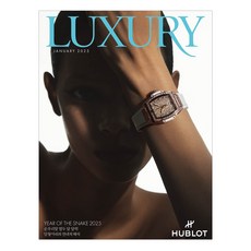 月刊豪華 LUXURY 2025年1月號+別冊豪華M, 設計公司, 月刊奢侈品編輯部