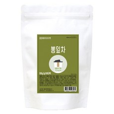 아이앤티 뽕잎차 텀블러용, 1개, 100개입, 2g
