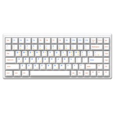 COX 다이나믹 래피드 트리거 8k 무접점 유무선 텐키리스 키보드, 화이트, CNK84L, 키캡