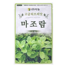 다농 마조람 씨앗, 1개, 0.5g