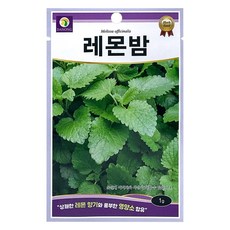 다농 레몬밤 씨앗 1g, 1개