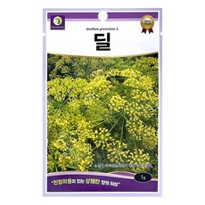다농 딜 씨앗 1g, 1개