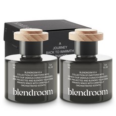 모런 블랜드룸 고급형 디퓨저 100ml 본품, 밤쉘, 2개