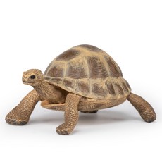 papo 野生動物赫曼陸龜公仔, 1個