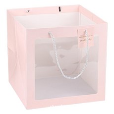 마켓피오 고급 모던 투명창 기프트 쇼핑백, 타입5, 10개