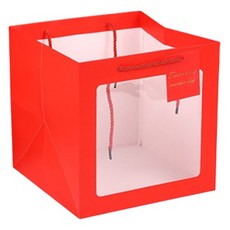마켓피오 고급 모던 투명창 기프트 쇼핑백, 타입1, 10개