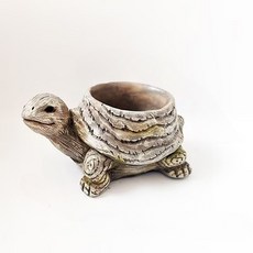 Home Flow 動物造型多肉植物室內裝飾迷你花盆 烏龜, 1個, 混合色