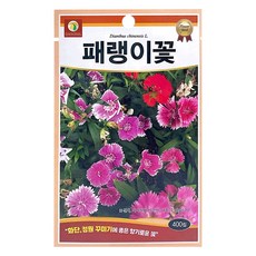 다농 패랭이꽃 씨앗 400p, 1개