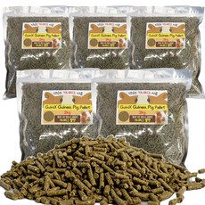 기닉스 기니피그 사료, 2kg, 5개