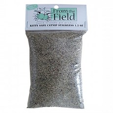 프롬더필드 캣닢 키티세이프 FFC306, 42g, 1개