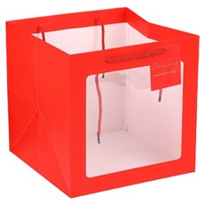 마켓피오 고급 모던 투명창 기프트 쇼핑백, 타입1, 10개