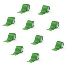 Daybyday 데이바이데이 밴드 5cm x 4.5m 그린, 1개, 10개입