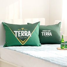 나라홈데코 베개커버 솜포함, 청정라거 테라, 1개