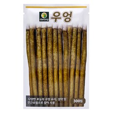 다농 우엉 씨앗 300p, 1개
