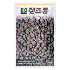 다농 렌즈콩 씨앗 10g, 08.검정 강낭콩씨앗30g, 1개