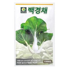 다농 백경채 씨앗 1500p, 1개