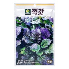 다농 적갓 씨앗 30g, 1개