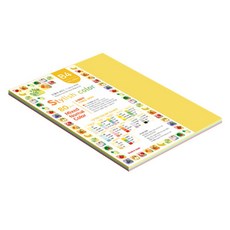 paperculture 時尚薄混合色紙 12 SN Vivid Tone 80g, B4, 53個