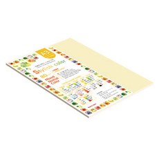 종이문화 스타일리쉬 얇은 혼합색지 01 SN Tone Shallow 80g, 33개, A3