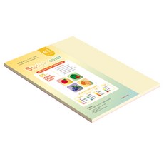 종이문화 스타일리쉬 얇은 혼합색지 80g 01 SS Spring, 65개, A3