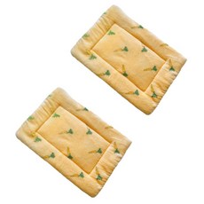 데이소이 반려동물 큐티 캐릭터 쿠션 매트, 03 당근, 2개