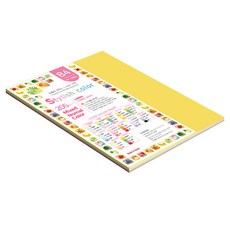 종이문화 SN 스타일리쉬 노멀 두꺼운 혼합색지 205g 12 Vivid Tone, 20개, B4