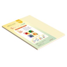 종이문화 스타일리쉬 얇은 혼합색지 13 SS Spring 80g, B4, 53개