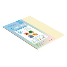 종이문화 스타일리쉬 얇은 혼합색지 120g 03 SS Fall, 20개, A3