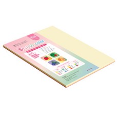 종이문화 SS 스타일리쉬 시즌 두꺼운 혼합색지 205g 02 Summer, 17개, 8절
