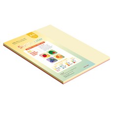 paperculture 時尚薄型混色紙 15 SS Fall 80g, A4, 65個