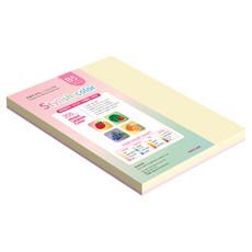 종이문화 SS 스타일리쉬 시즌 두꺼운 혼합색지 205g 03 Fall, B5, 40개