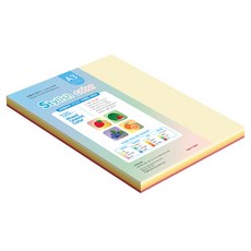 종이문화 스타일리쉬 얇은 혼합색지 120g 13 SS-Spring, A3, 80개