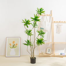 비투윈 인테리어 나무화분 1.6m, 리얼백합죽 8마리, 1개