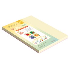 paperculture 時尚薄款混色紙 80g No 3 SS Fall, A3, 130個