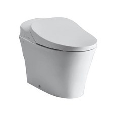 두진 욕실 비데 일체형 양변기 직수타입, BC-205J, 방문설치