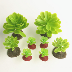 비투윈 나약성 나무화분 가구 세트, 다육5, 1세트