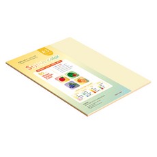 paperculture 時尚季節色彩影印紙 03 SS Fall 80g, 33個, A3