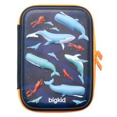 빅키드 하드탑파우치, 고래상어, 1개