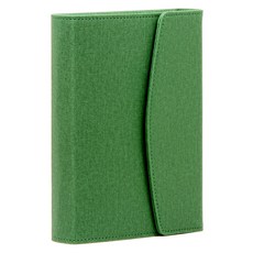 愛加倍出版社 韓語修訂版 聖經全書 NKR62EATH 皮夾式 綠色 單本, 愛加倍, 大韓聖書公會