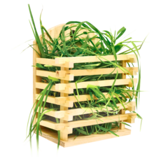 PetBest 幸之井原木牧草盒 XL, 1個, 單一顏色