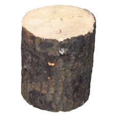 PetBest 蟲森林 國產優質產卵木, 1個, 單一顏色