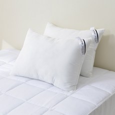 monshare 超細纖維拉鍊式一般枕芯, 白色, 2個