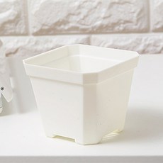 홈플로우 알록달록 플라스틱 화분, 화이트, 1개