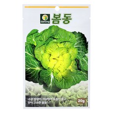 다농 봄동배추 씨앗 20g, 1개