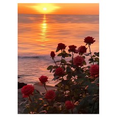 타미나요 간단한 DIY 그림그리기 + 우드프레임 세트, 해변가의 장미, 1세트